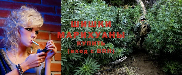 эйфоретик Новокубанск